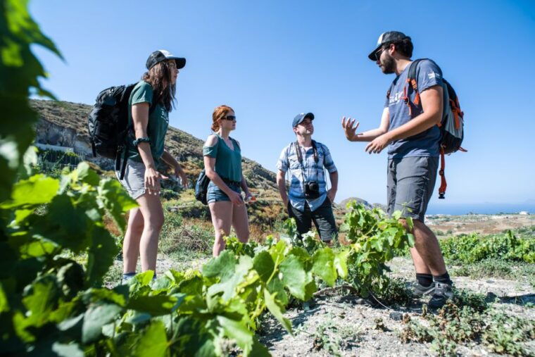 santorini-cooking-class-and-easy-hike