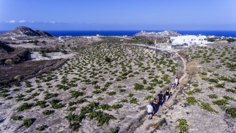santorini-cooking-class-and-easy-hike