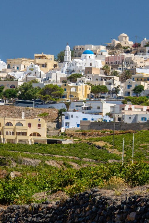 santorini-culture-tour-with-wine-tasting