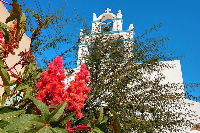 Santorini Day Tour with Sunset in Oia - Tasting Santorini’s Famous Wines