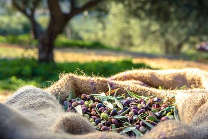 santorini-deluxe-tour-for-cruise-passengers