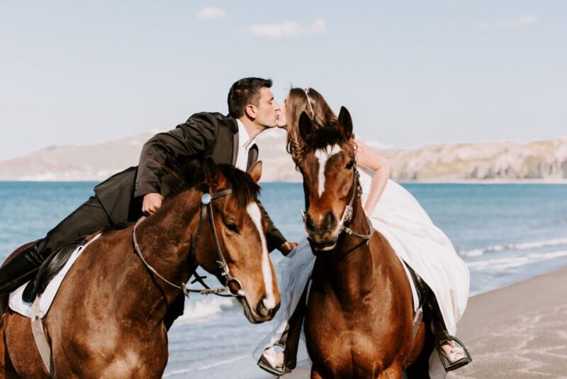 Santorini: Exclusive Private Horse Riding with picnic - The Picnic and Refreshments