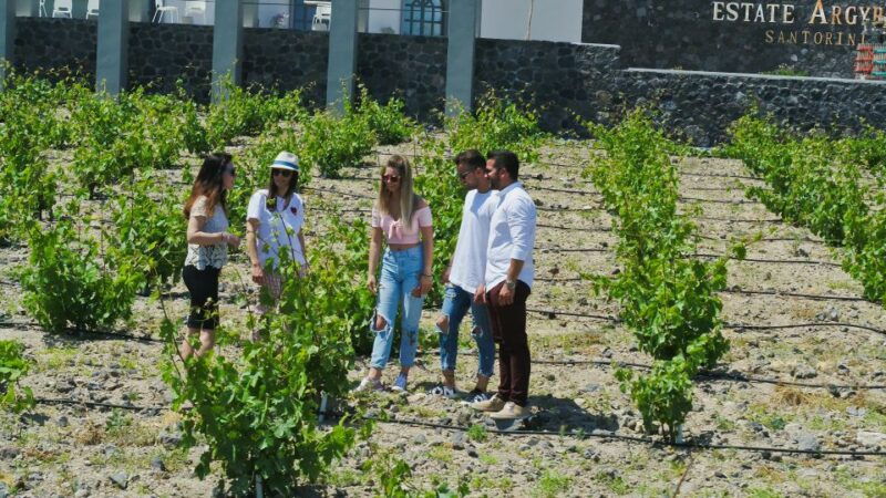 santorini-explore-southern-part-with-wine-tasting