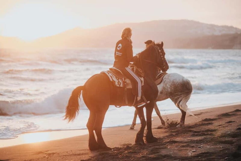 Santorini: Extreme Horse Safari - A Detailed Look at the Santorini Extreme Horse Safari