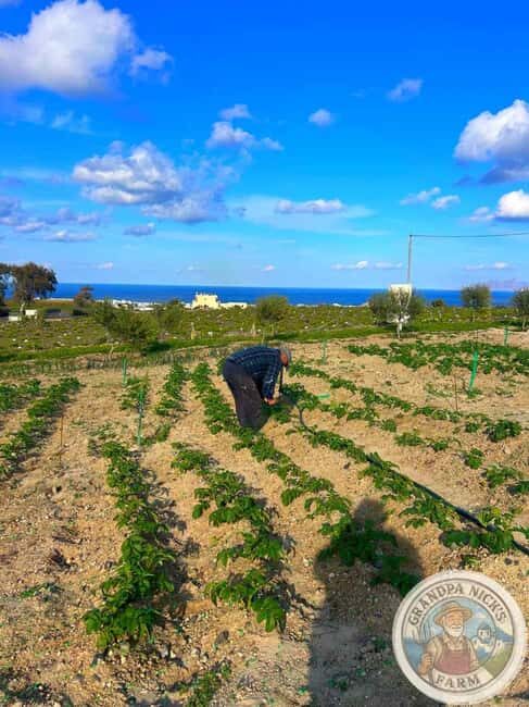 Santorini: Farm and Winery Guided Tour - Frequently Asked Questions