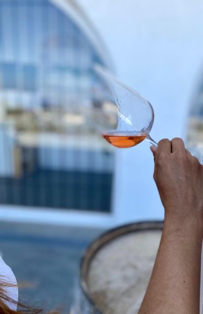 Santorini Fun day: Horseriding- Wine Tasting - Tapas - An In-Depth Look at the Santorini Fun Day Tour