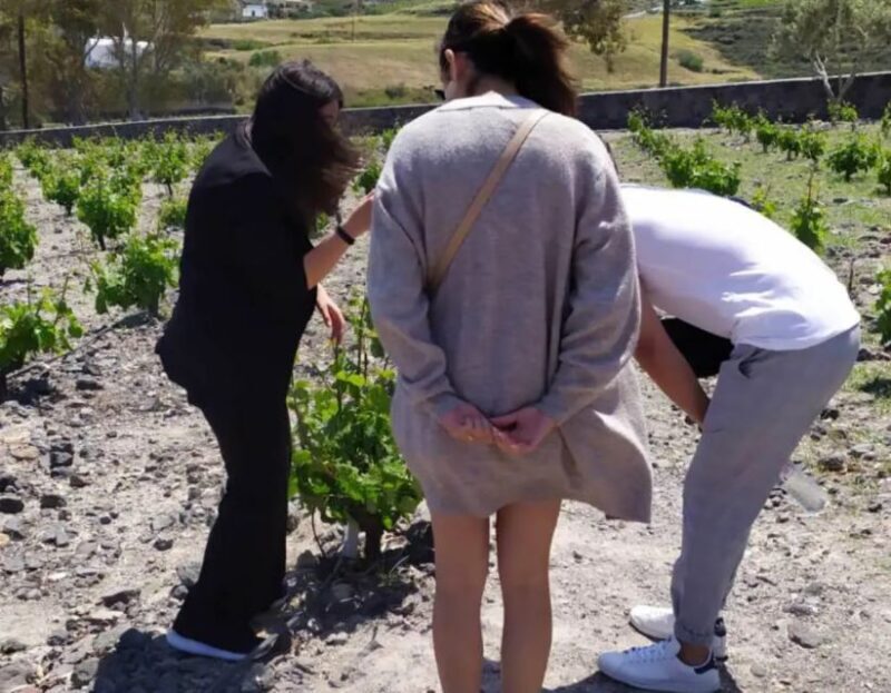 Santorini: Guided Highlights Tour with Private Wine Tasting - FAQs