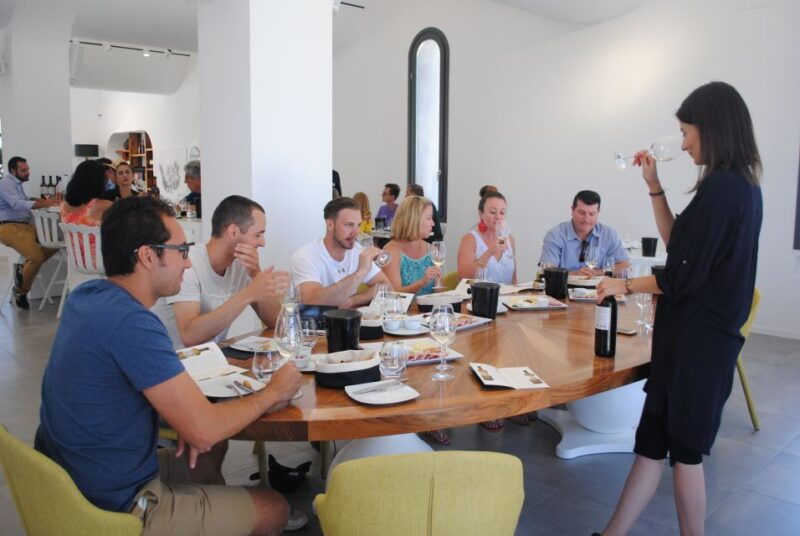 santorini-guided-wine-tour-with-pickup-and-snacks