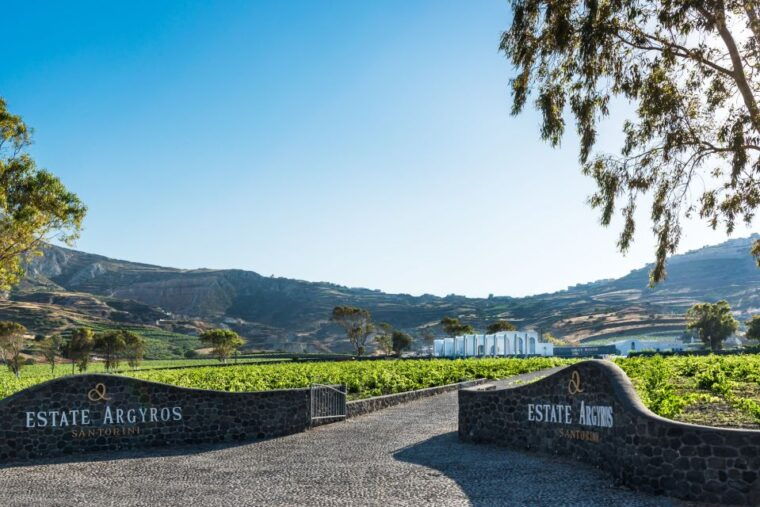 santorini-guided-wineries-private-tour-with-wine-tastings