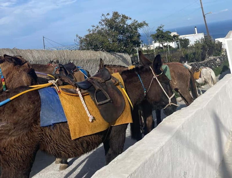 Santorini: Half-Day Island Tour with Snacks and Drinks - Frequently Asked Questions