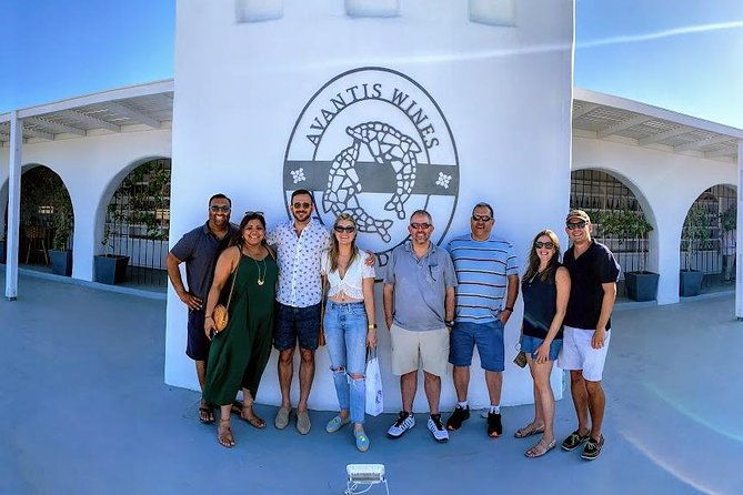 santorini-half-day-wine-tasting-winery-tour-with-pickup