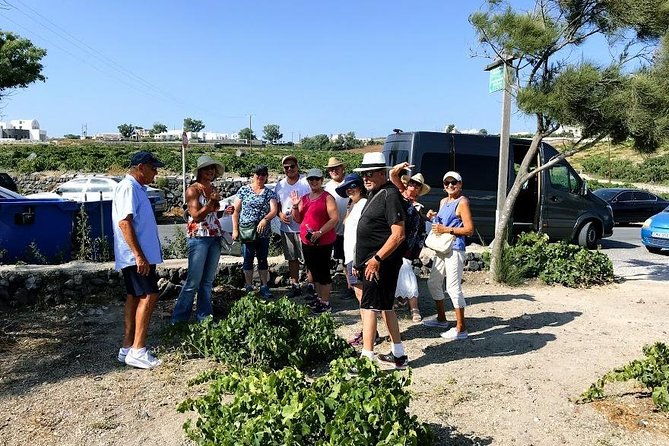 santorini-half-day-wine-tasting-winery-tour-with-pickup