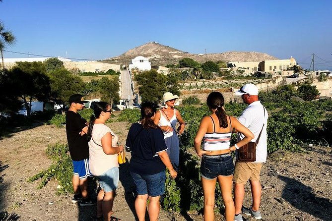 santorini-half-day-wine-tasting-winery-tour-with-pickup