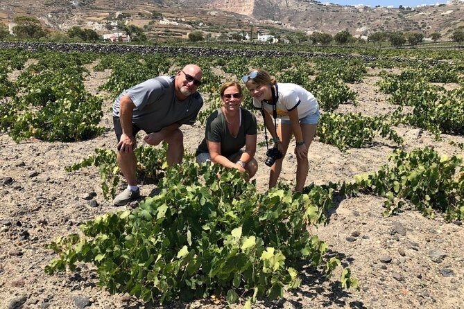 Santorini Highlights: 5-Hour Private Tour with Wine-Tasting - Climbing Up to Profitis Ilias and the Monastery