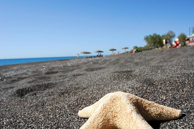 Santorini Highlights: 5-Hour Private Tour with Wine-Tasting - The Charm of Oia and Free Time to Explore