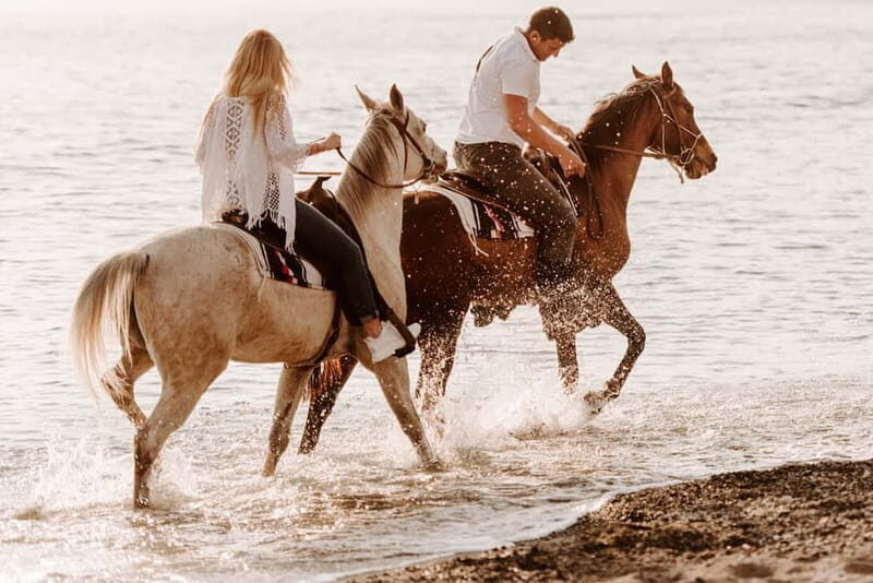 Santorini: Horseback Riding on the Black Sandy Eros Beach - Who Will Love This Experience?