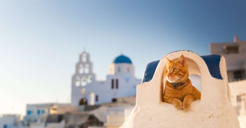 Santorini: Instagram Highlights Tour - A Deep Dive Into the Santorini Instagram Highlights Tour