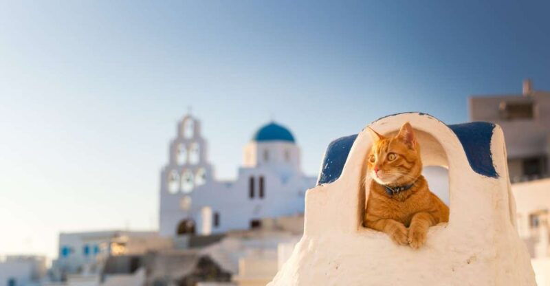 santorini-instagram-highlights-tour-with-a-photographer