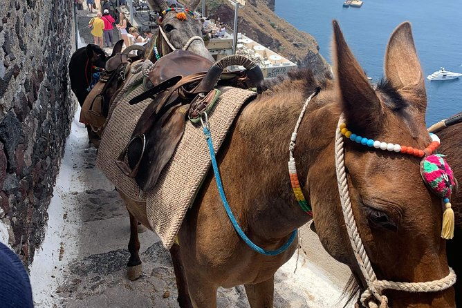 santorini-local-life-full-day-tour