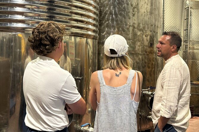 santorini-mini-wine-tasting-tour-at-2-wineries