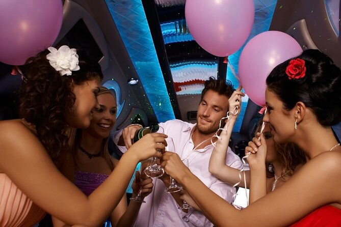 santorini-party-bus-experience-2