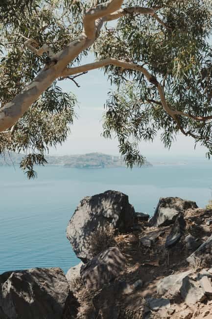 Santorini: Private 3-Hour Highlights Tour for Cruise Guests - Who Would Love This Tour?  