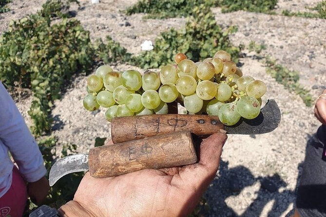 santorini-private-highlights-tour-wine-tasting-with-local-guide