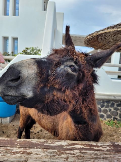 Santorini: Private Island Tour - The Sum Up