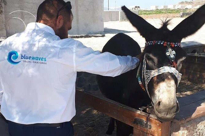 santorini-private-tour-3hours-wine-and-local-product-tasting