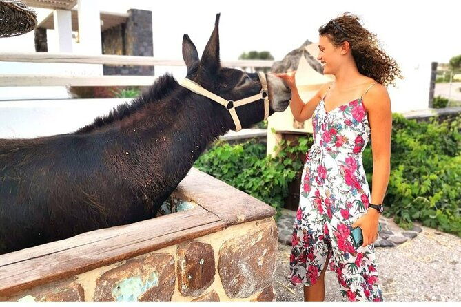 santorini-private-tour-5hours-wine-and-local-product-tasting