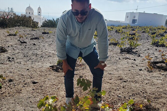 santorini-private-tour-from-athens-sightseeing-wine-tasting-2