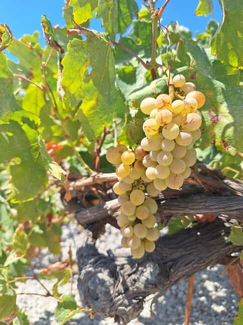 Santorini Private Tour: Hidden Gems & Wine Experience - Discovering the Heart of Santorini
