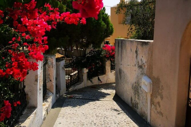 santorini-private-tour-highlights-6h-for-groups-and-families