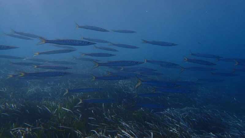 santorini-scuba-diving