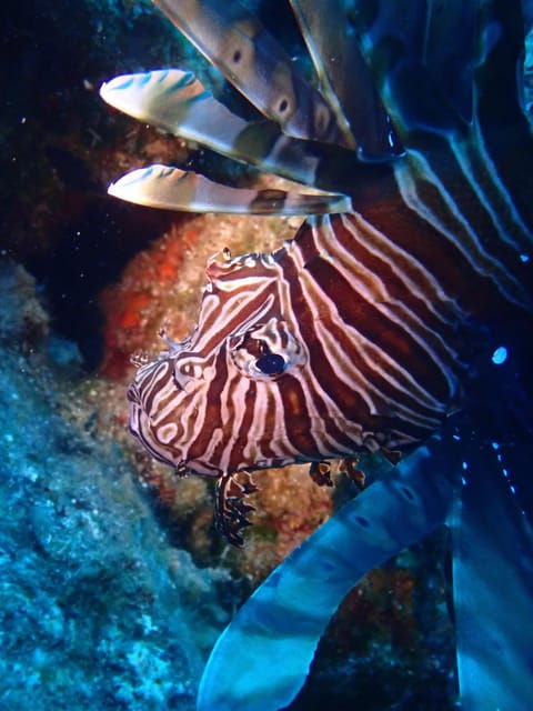 santorini-scuba-diving