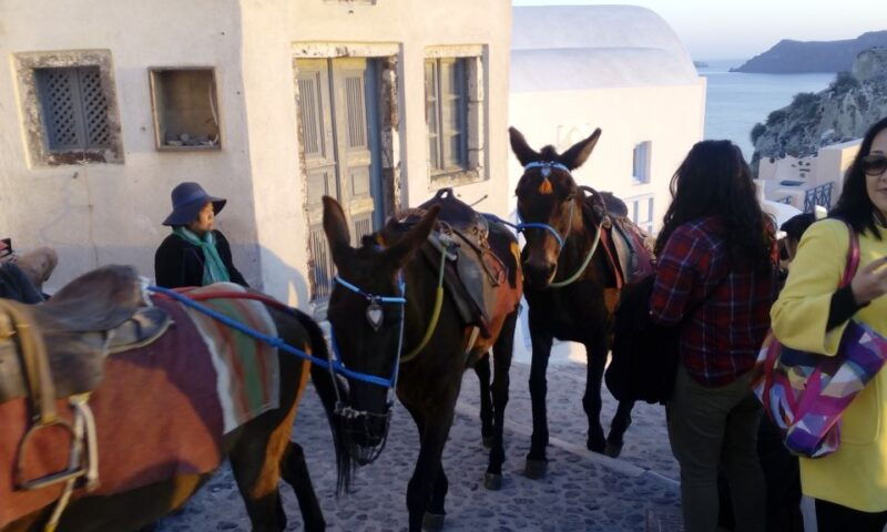 santorini-small-group-highlights-tour-of-venetian-castles