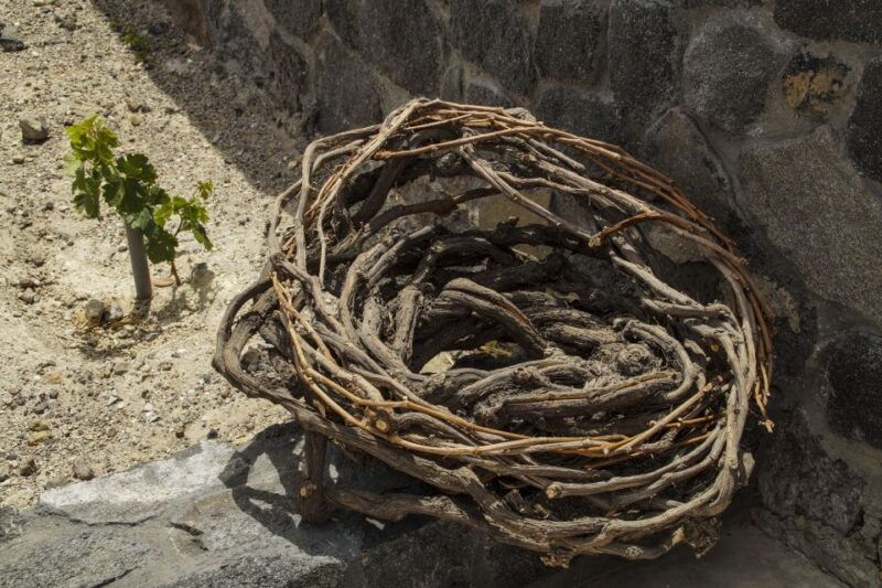 santorini-three-wineries-and-one-brewery-tour-with-tastings