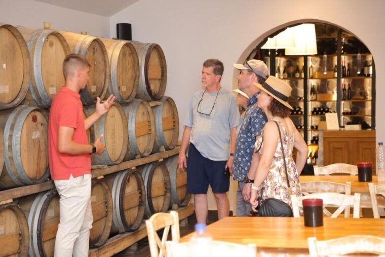 santorini-tour-of-wineries-with-wine-tasting-food