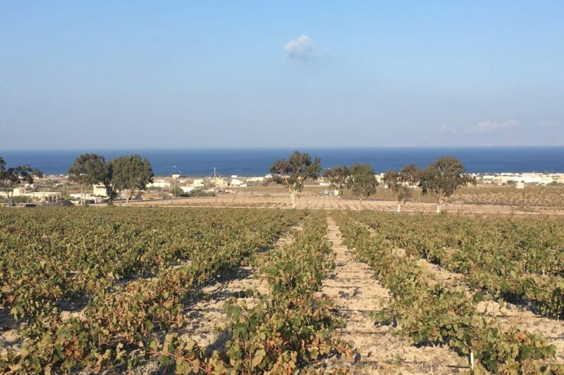 Santorini: Vegan Wine Tasting Private Tour - FAQs  