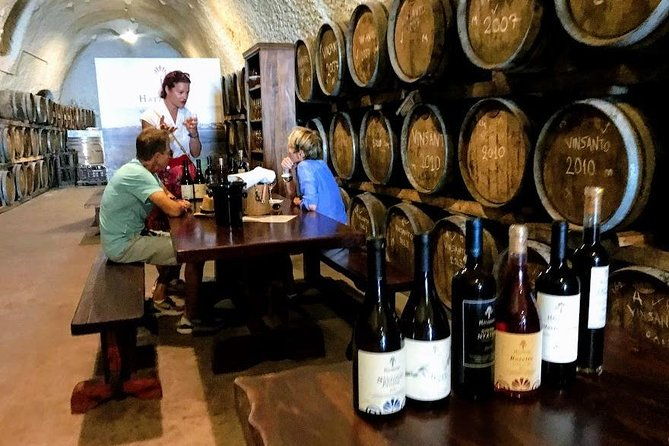 santorini-wine-and-food-experience-with-pick-up-included-2