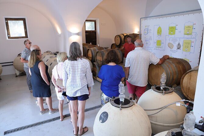 Santorini Wine Stories: Daytime Tour with Tasting & Lunch - Practical Details & Logistics