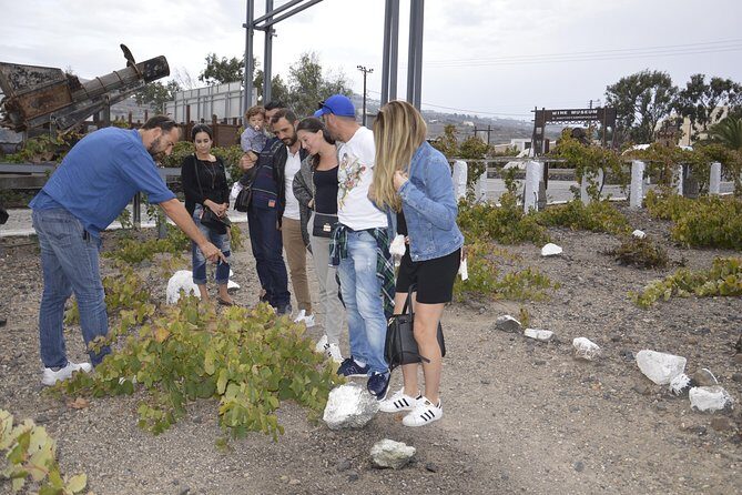 Santorini Wine Tasting and Sunset Getaway Small Group Tour - Authentic Reviews and Insights