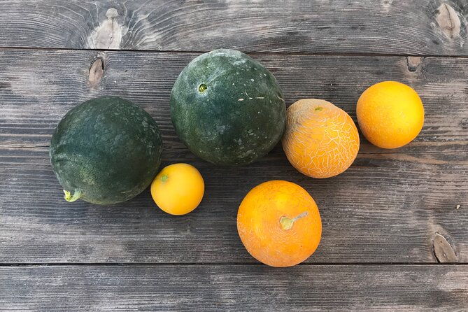 santorini-wine-tasting-and-traditional-cave-settlement-tour