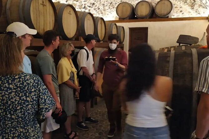 santorini-wine-tasting-private-tour-with-a-certified-wine-guide-2