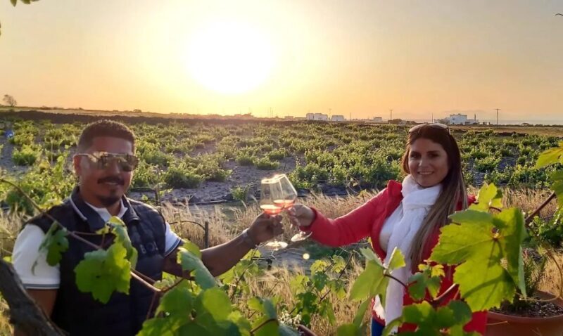 Santorini: Wine Tasting Tour - Who Will Love This Tour?