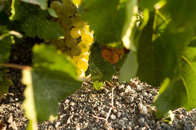 santorini-wine-tour-taste-12-best-wines-3-beers-with-pairings
