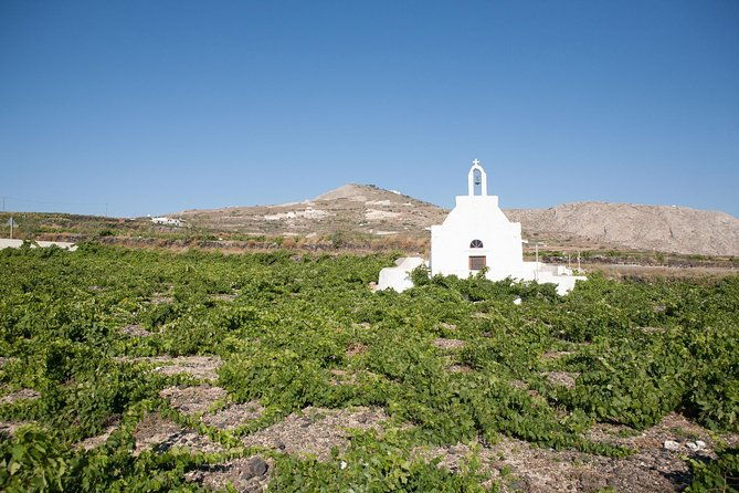 santorini-wine-tour-taste-12-best-wines-3-beers-with-pairings