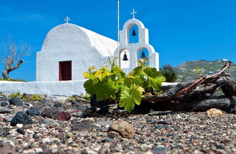 Santorini's "Wine Roads": Private Wine Tour With Tastings - Who Will Love This?