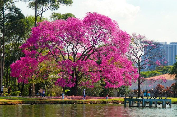 santos-private-shore-excursion-sao-paulo-full-day-city-experience