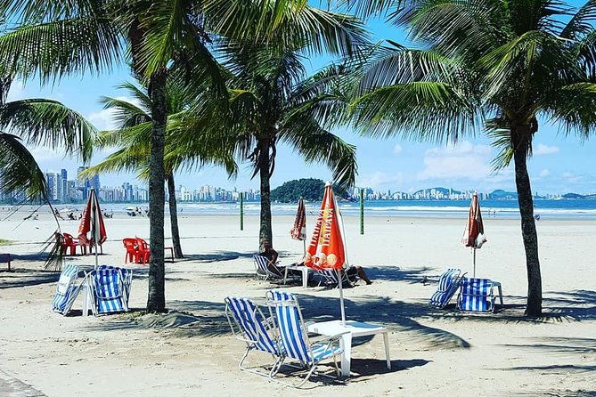 santos-shore-excursion-full-day-city-tour-and-gru-airport-transfer